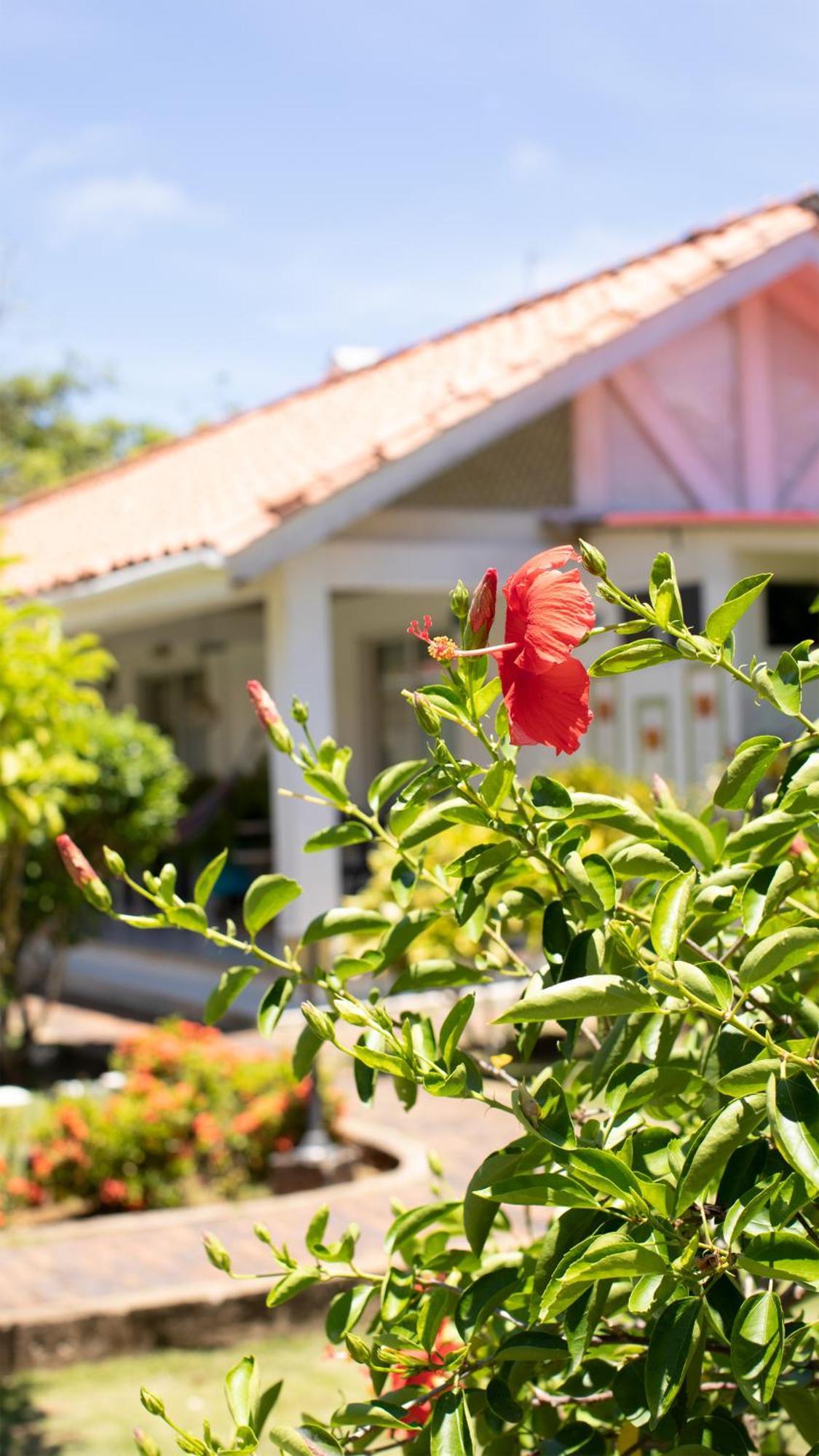 Hosteria Mar y Sol San Andrés Exterior foto